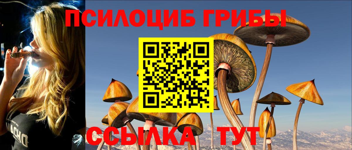 Гусь-Хрустальный  Галлюциногенные грибы Psilocybe  Вход с VPN 