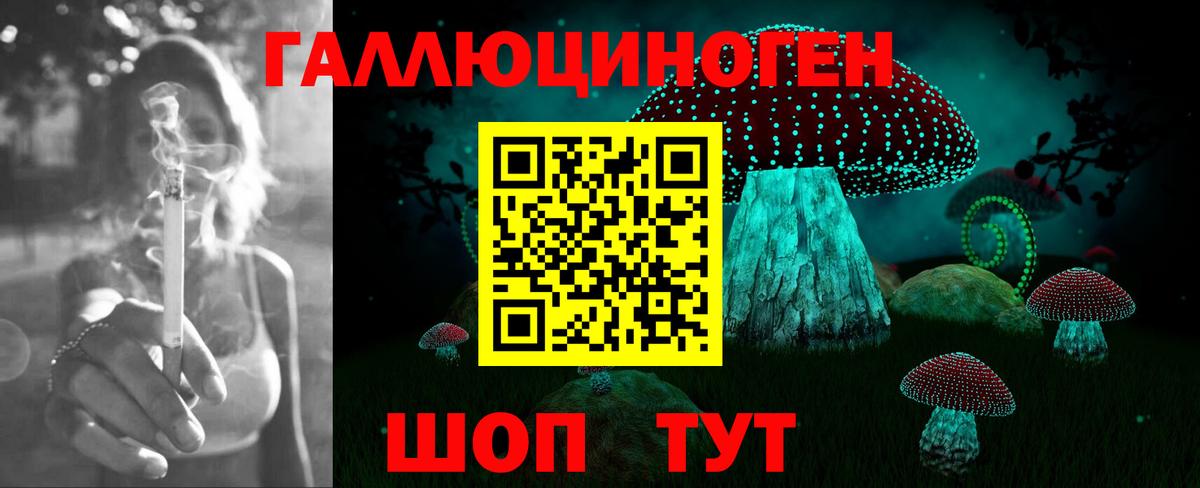 Псилоцибиновые грибы Magic Shrooms Гусь-Хрустальный